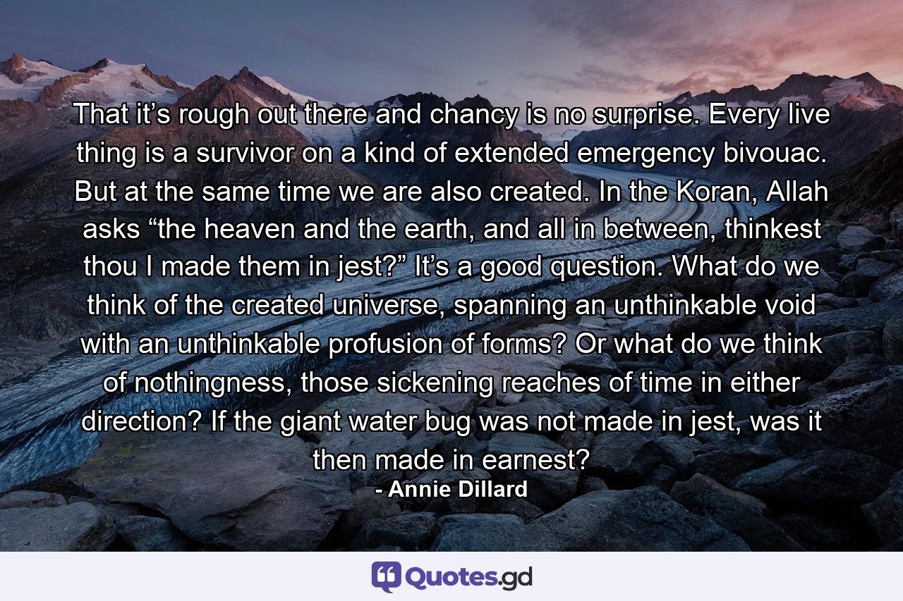 That it’s rough out there and chancy is no surprise. Every live thing is a survivor on a kind of extended emergency bivouac. But at the same time we are also created. In the Koran, Allah asks “the heaven and the earth, and all in between, thinkest thou I made them in jest?” It’s a good question. What do we think of the created universe, spanning an unthinkable void with an unthinkable profusion of forms? Or what do we think of nothingness, those sickening reaches of time in either direction? If the giant water bug was not made in jest, was it then made in earnest? - Quote by Annie Dillard