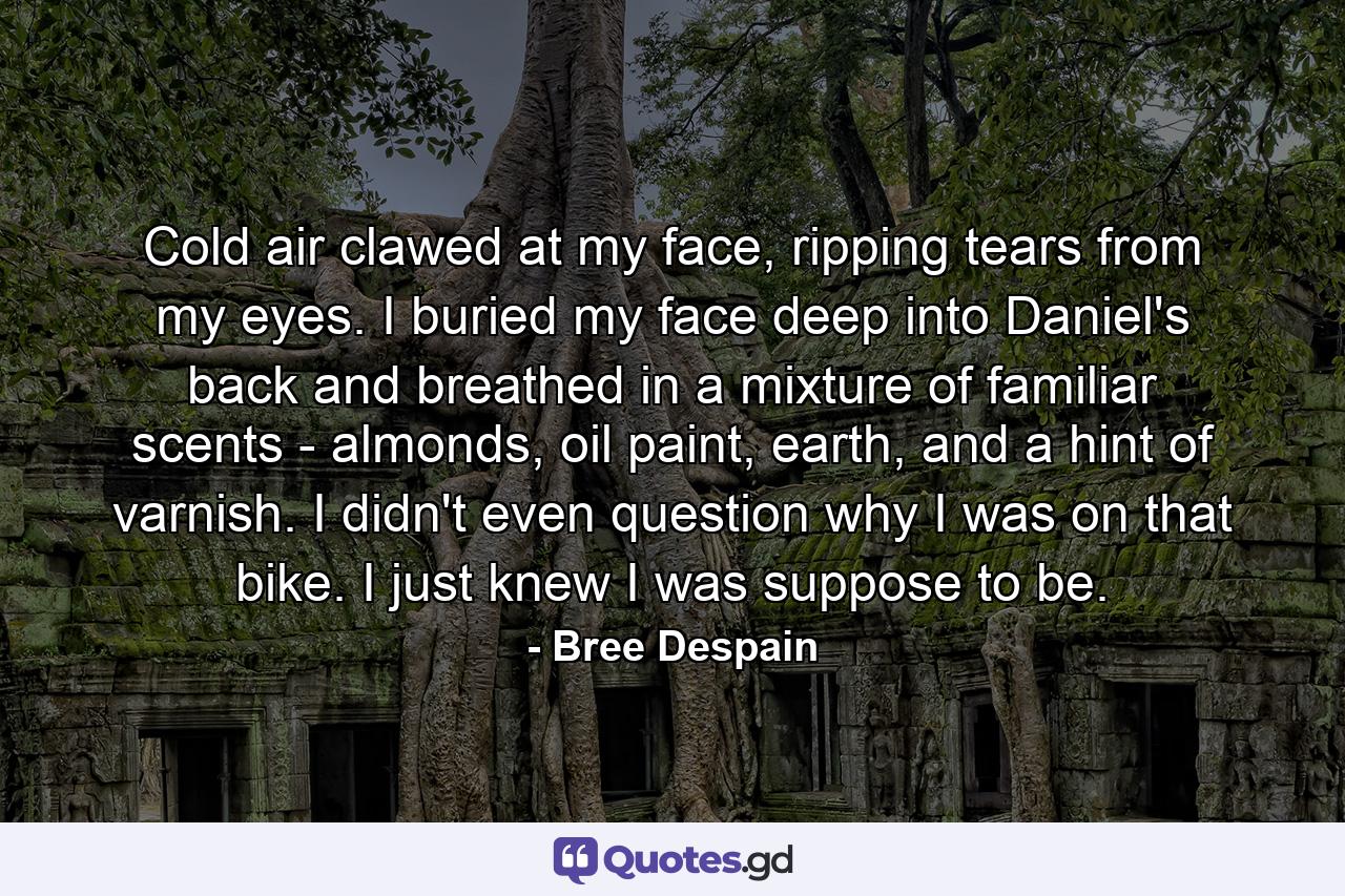 Cold air clawed at my face, ripping tears from my eyes. I buried my face deep into Daniel's back and breathed in a mixture of familiar scents - almonds, oil paint, earth, and a hint of varnish. I didn't even question why I was on that bike. I just knew I was suppose to be. - Quote by Bree Despain