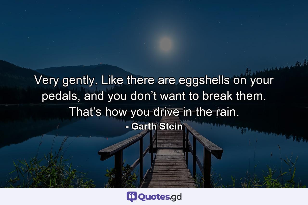 Very gently. Like there are eggshells on your pedals, and you don’t want to break them. That’s how you drive in the rain. - Quote by Garth Stein