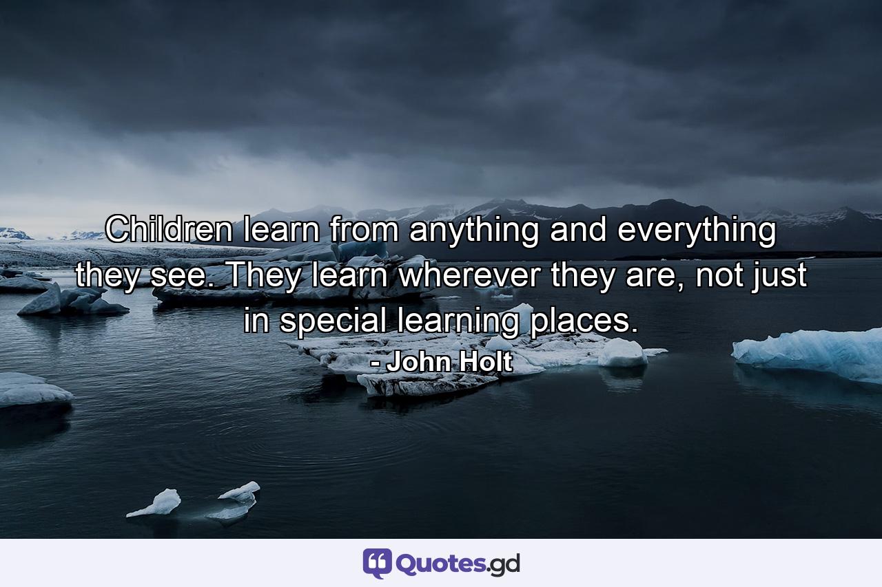 Children learn from anything and everything they see. They learn wherever they are, not just in special learning places. - Quote by John Holt