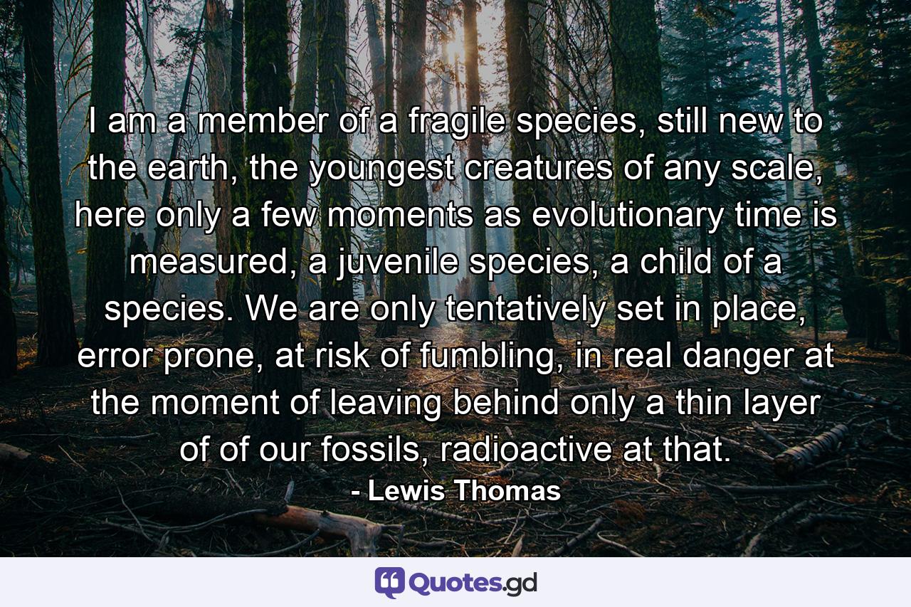 I am a member of a fragile species, still new to the earth, the youngest creatures of any scale, here only a few moments as evolutionary time is measured, a juvenile species, a child of a species. We are only tentatively set in place, error prone, at risk of fumbling, in real danger at the moment of leaving behind only a thin layer of of our fossils, radioactive at that. - Quote by Lewis Thomas