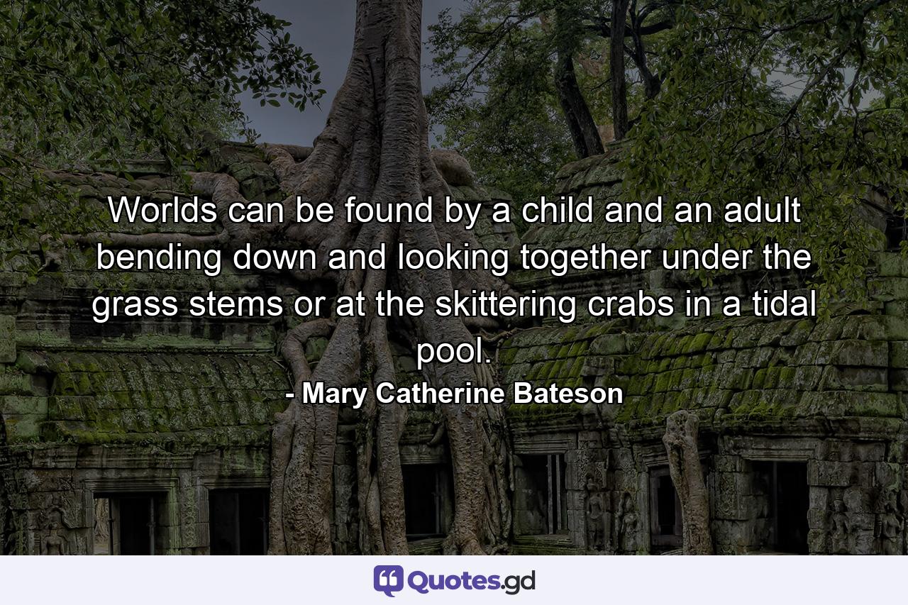 Worlds can be found by a child and an adult bending down and looking together under the grass stems or at the skittering crabs in a tidal pool. - Quote by Mary Catherine Bateson
