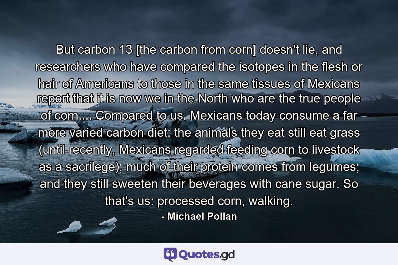 But carbon 13 [the carbon from corn] doesn't lie, and researchers who have compared the isotopes in the flesh or hair of Americans to those in the same tissues of Mexicans report that it is now we in the North who are the true people of corn.... Compared to us, Mexicans today consume a far more varied carbon diet: the animals they eat still eat grass (until recently, Mexicans regarded feeding corn to livestock as a sacrilege); much of their protein comes from legumes; and they still sweeten their beverages with cane sugar. So that's us: processed corn, walking. - Quote by Michael Pollan