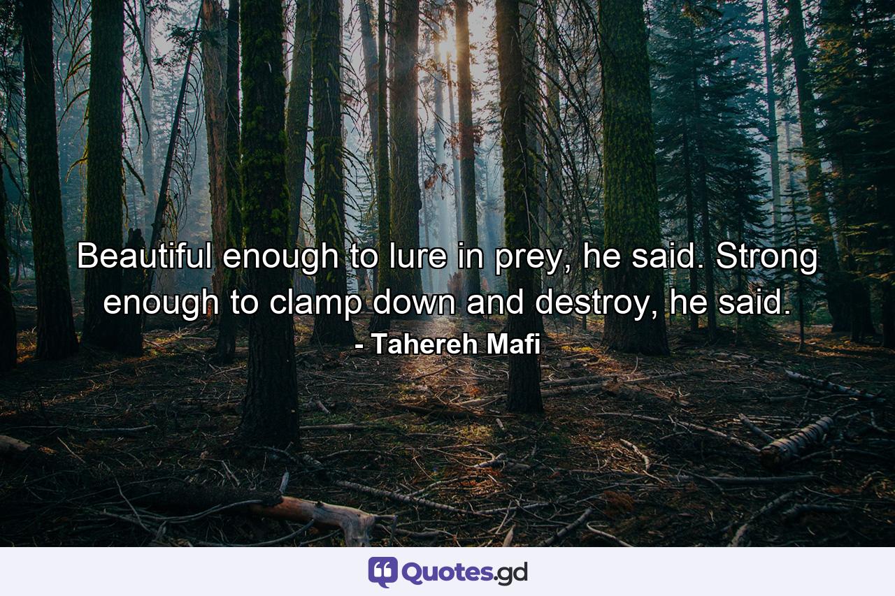 Beautiful enough to lure in prey, he said. Strong enough to clamp down and destroy, he said. - Quote by Tahereh Mafi