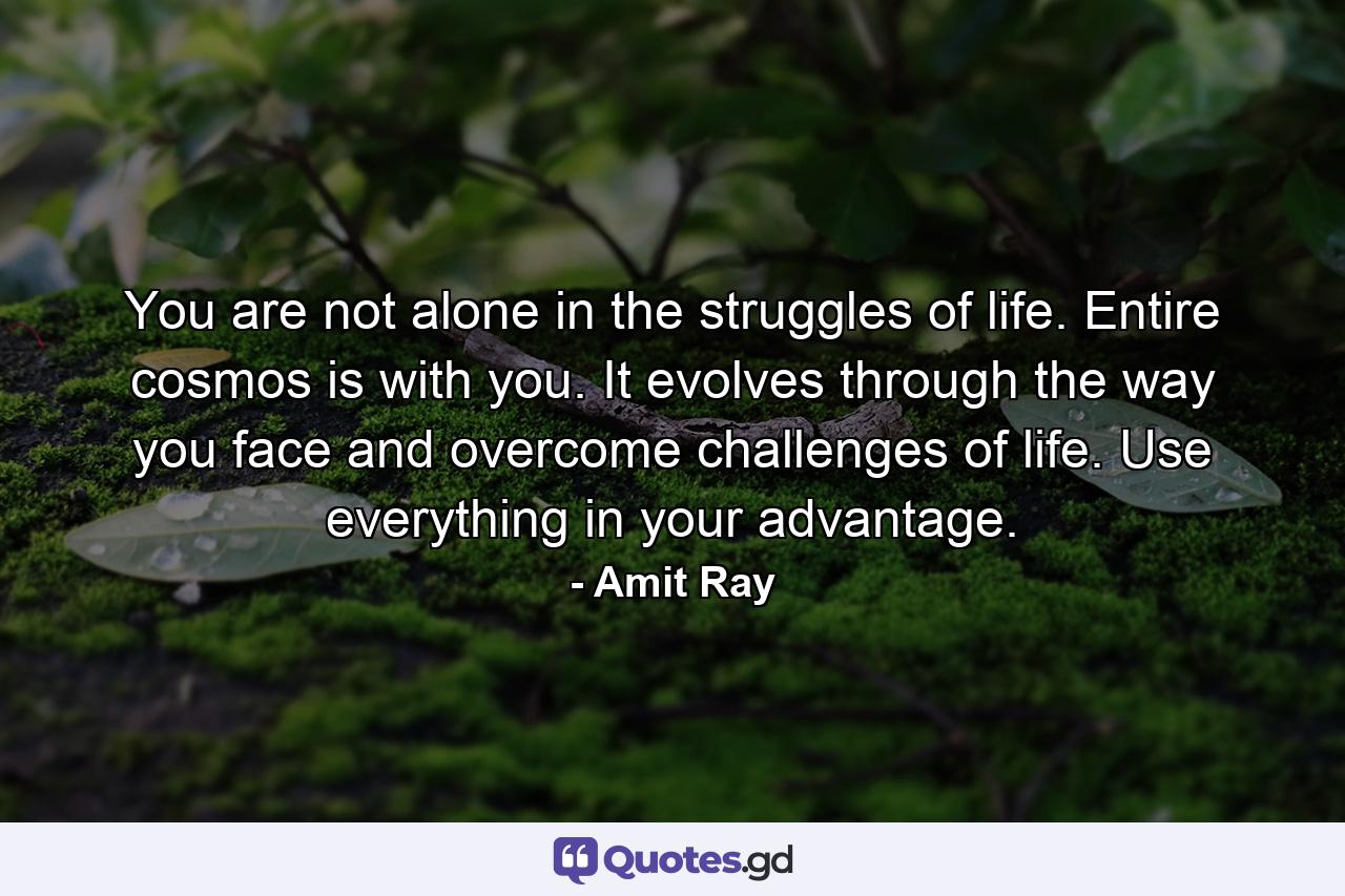 You are not alone in the struggles of life. Entire cosmos is with you. It evolves through the way you face and overcome challenges of life. Use everything in your advantage. - Quote by Amit Ray