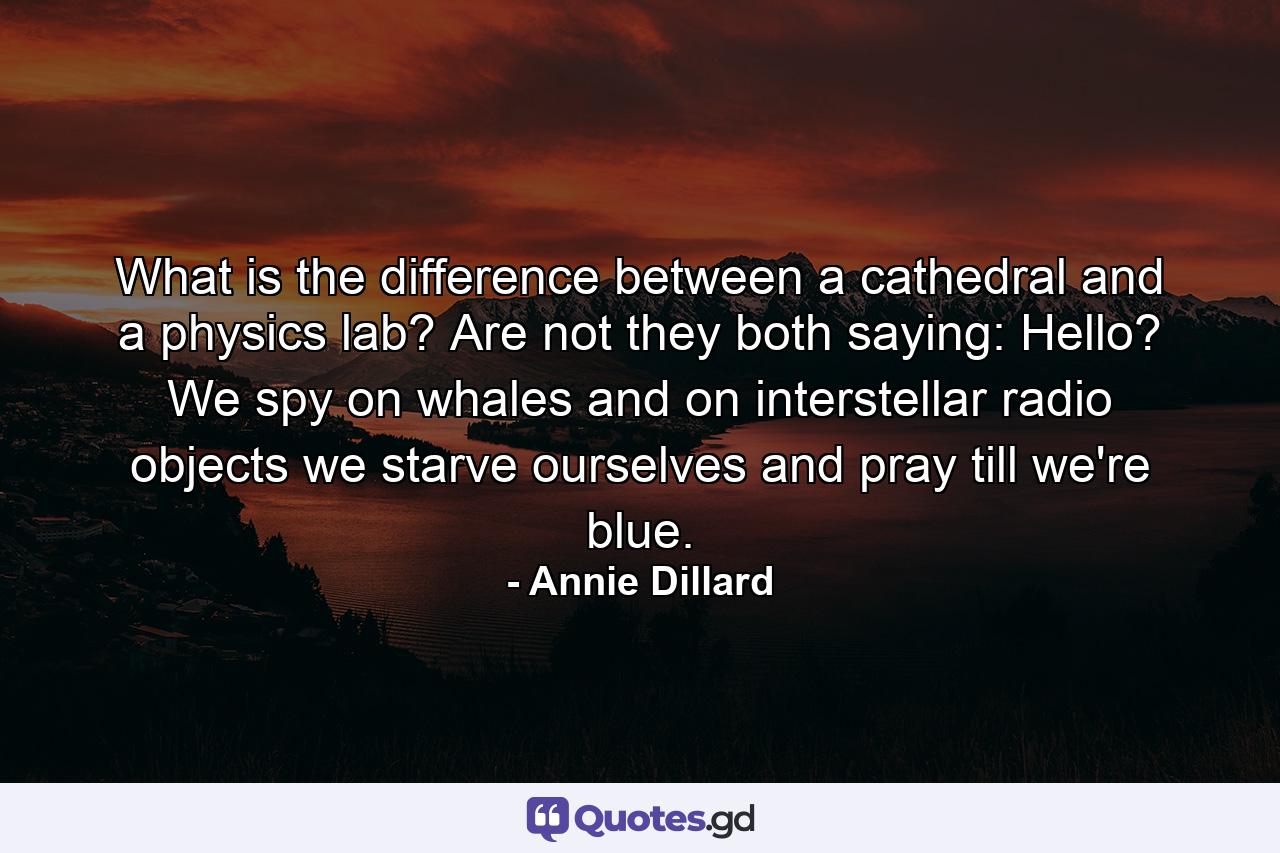 What is the difference between a cathedral and a physics lab? Are not they both saying: Hello? We spy on whales and on interstellar radio objects we starve ourselves and pray till we're blue. - Quote by Annie Dillard