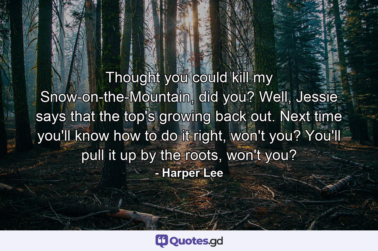 Thought you could kill my Snow-on-the-Mountain, did you? Well, Jessie says that the top's growing back out. Next time you'll know how to do it right, won't you? You'll pull it up by the roots, won't you? - Quote by Harper Lee