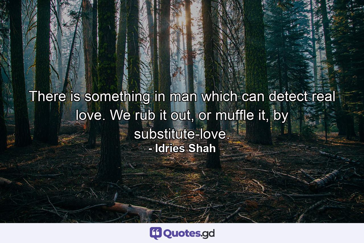 There is something in man which can detect real love. We rub it out, or muffle it, by substitute-love. - Quote by Idries Shah