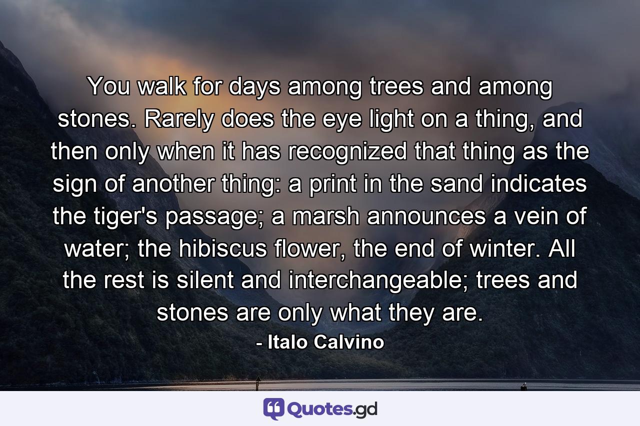 You walk for days among trees and among stones. Rarely does the eye light on a thing, and then only when it has recognized that thing as the sign of another thing: a print in the sand indicates the tiger's passage; a marsh announces a vein of water; the hibiscus flower, the end of winter. All the rest is silent and interchangeable; trees and stones are only what they are. - Quote by Italo Calvino