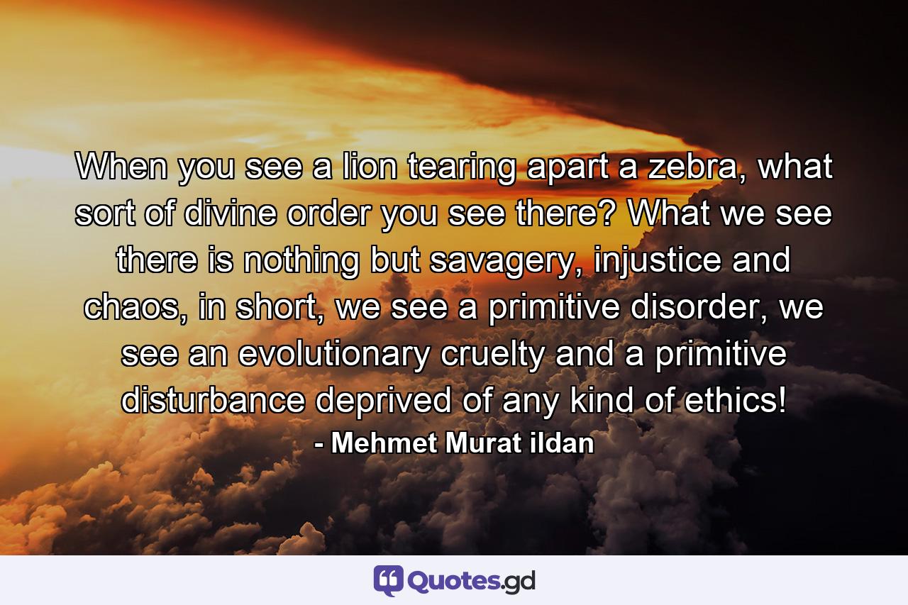 When you see a lion tearing apart a zebra, what sort of divine order you see there? What we see there is nothing but savagery, injustice and chaos, in short, we see a primitive disorder, we see an evolutionary cruelty and a primitive disturbance deprived of any kind of ethics! - Quote by Mehmet Murat ildan