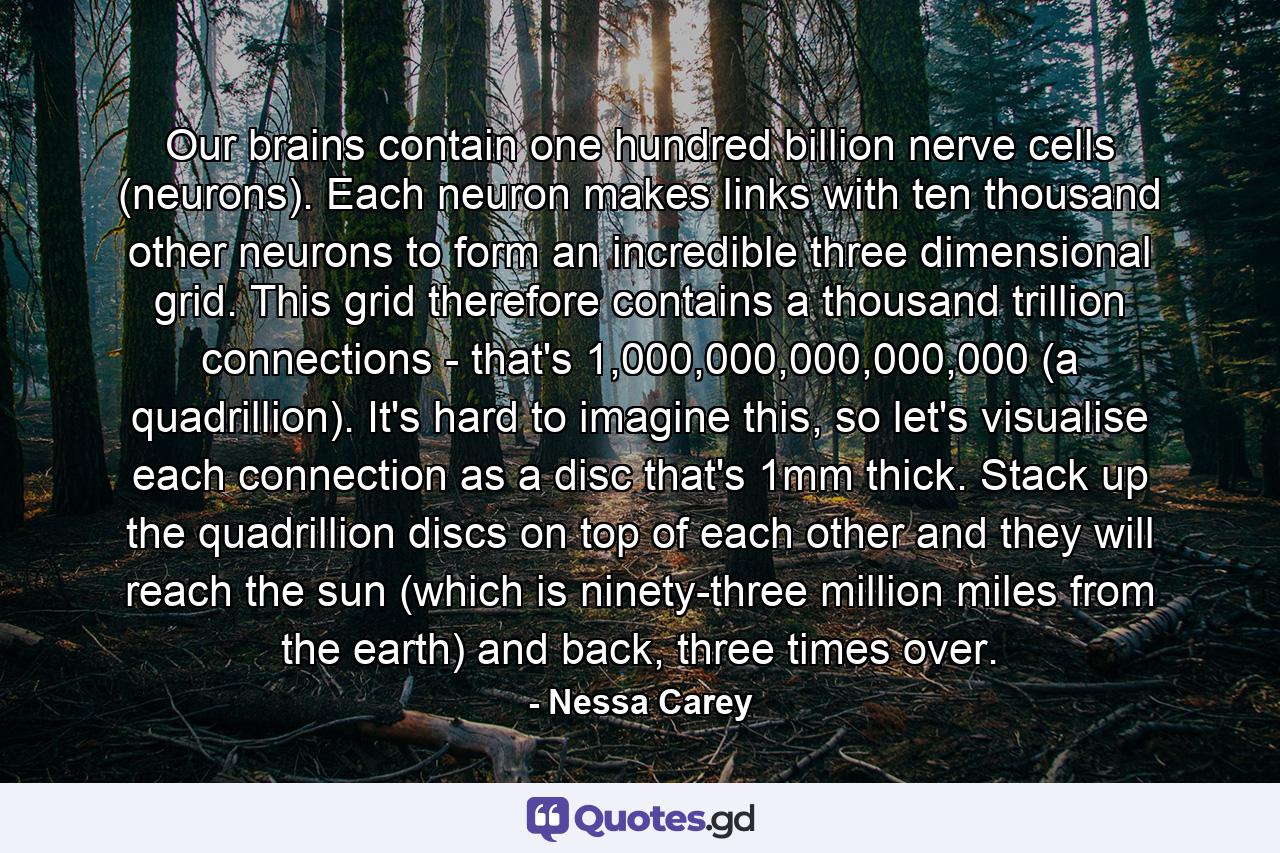 Our brains contain one hundred billion nerve cells (neurons). Each neuron makes links with ten thousand other neurons to form an incredible three dimensional grid. This grid therefore contains a thousand trillion connections - that's 1,000,000,000,000,000 (a quadrillion). It's hard to imagine this, so let's visualise each connection as a disc that's 1mm thick. Stack up the quadrillion discs on top of each other and they will reach the sun (which is ninety-three million miles from the earth) and back, three times over. - Quote by Nessa Carey