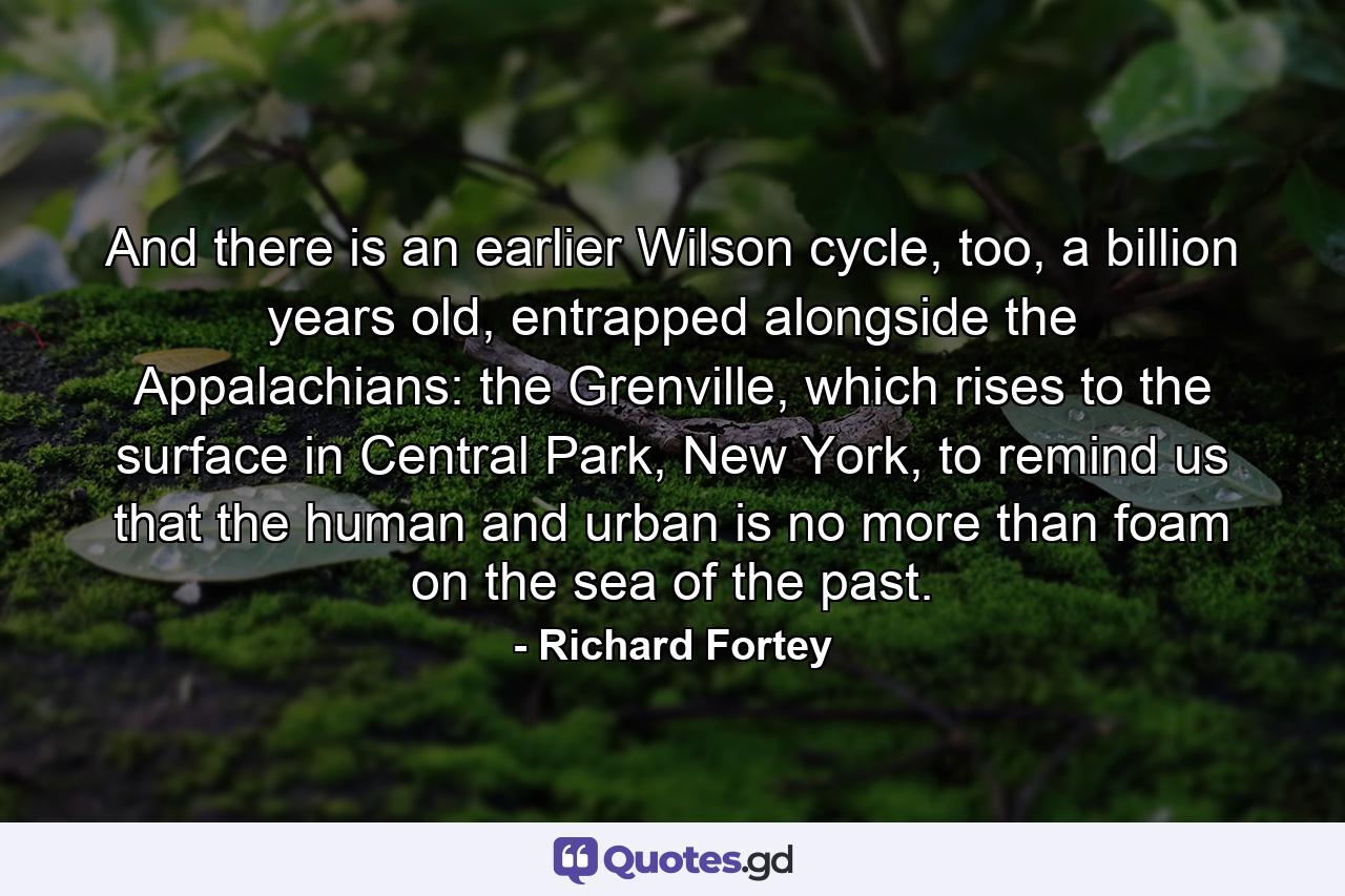 And there is an earlier Wilson cycle, too, a billion years old, entrapped alongside the Appalachians: the Grenville, which rises to the surface in Central Park, New York, to remind us that the human and urban is no more than foam on the sea of the past. - Quote by Richard Fortey