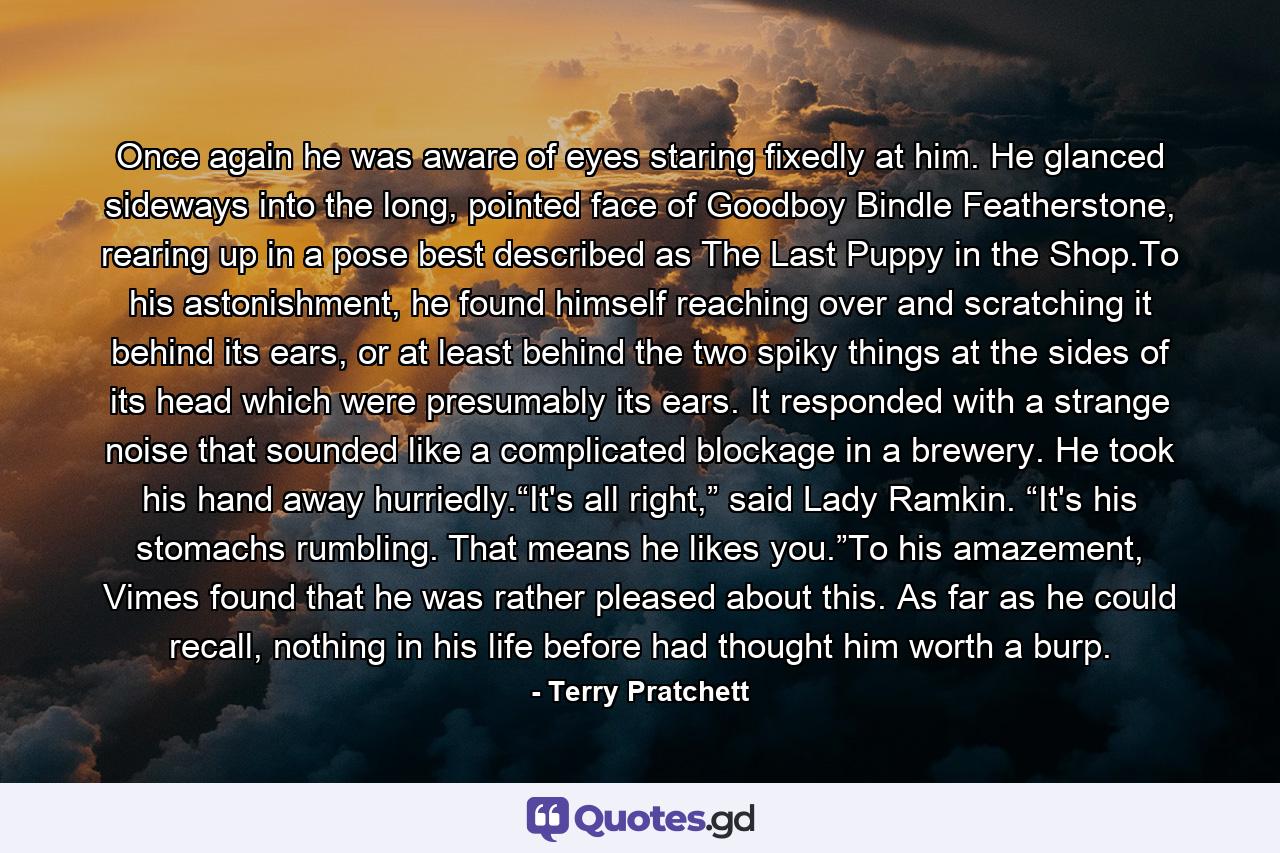 Once again he was aware of eyes staring fixedly at him. He glanced sideways into the long, pointed face of Goodboy Bindle Featherstone, rearing up in a pose best described as The Last Puppy in the Shop.To his astonishment, he found himself reaching over and scratching it behind its ears, or at least behind the two spiky things at the sides of its head which were presumably its ears. It responded with a strange noise that sounded like a complicated blockage in a brewery. He took his hand away hurriedly.“It's all right,” said Lady Ramkin. “It's his stomachs rumbling. That means he likes you.”To his amazement, Vimes found that he was rather pleased about this. As far as he could recall, nothing in his life before had thought him worth a burp. - Quote by Terry Pratchett
