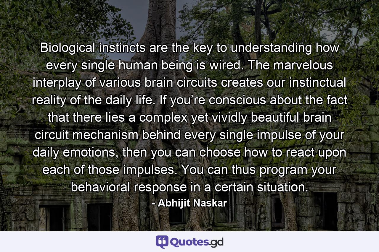 Biological instincts are the key to understanding how every single human being is wired. The marvelous interplay of various brain circuits creates our instinctual reality of the daily life. If you’re conscious about the fact that there lies a complex yet vividly beautiful brain circuit mechanism behind every single impulse of your daily emotions, then you can choose how to react upon each of those impulses. You can thus program your behavioral response in a certain situation. - Quote by Abhijit Naskar