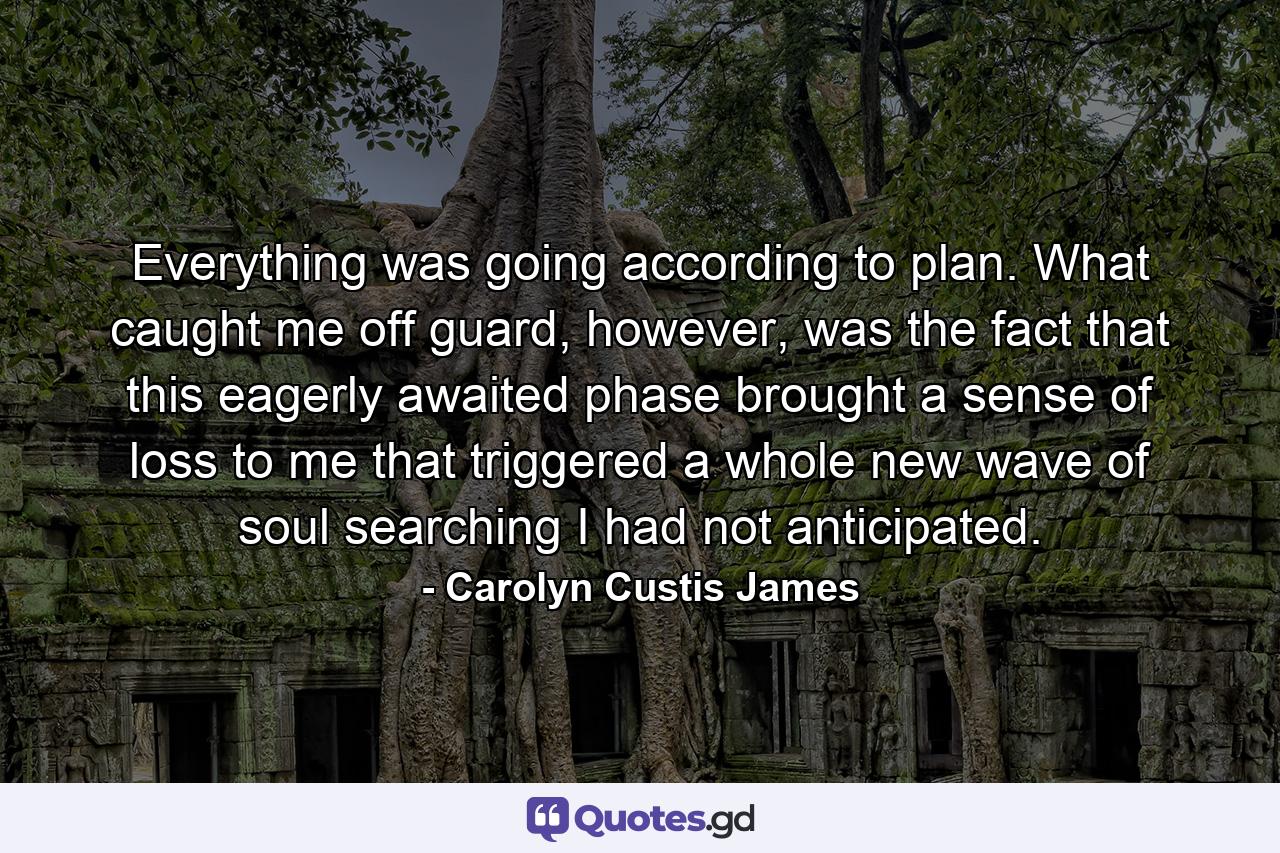 Everything was going according to plan. What caught me off guard, however, was the fact that this eagerly awaited phase brought a sense of loss to me that triggered a whole new wave of soul searching I had not anticipated. - Quote by Carolyn Custis James