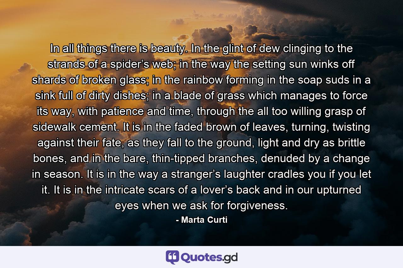In all things there is beauty. In the glint of dew clinging to the strands of a spider’s web; in the way the setting sun winks off shards of broken glass; in the rainbow forming in the soap suds in a sink full of dirty dishes; in a blade of grass which manages to force its way, with patience and time, through the all too willing grasp of sidewalk cement. It is in the faded brown of leaves, turning, twisting against their fate, as they fall to the ground, light and dry as brittle bones, and in the bare, thin-tipped branches, denuded by a change in season. It is in the way a stranger’s laughter cradles you if you let it. It is in the intricate scars of a lover’s back and in our upturned eyes when we ask for forgiveness. - Quote by Marta Curti