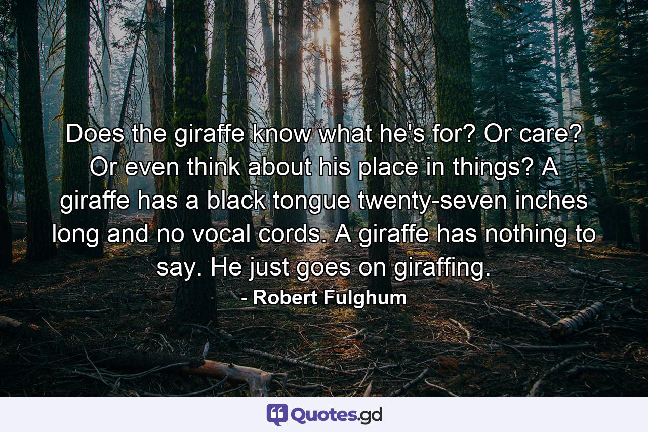 Does the giraffe know what he's for? Or care? Or even think about his place in things? A giraffe has a black tongue twenty-seven inches long and no vocal cords. A giraffe has nothing to say. He just goes on giraffing. - Quote by Robert Fulghum