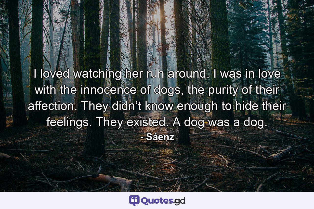 I loved watching her run around. I was in love with the innocence of dogs, the purity of their affection. They didn’t know enough to hide their feelings. They existed. A dog was a dog. - Quote by Sáenz