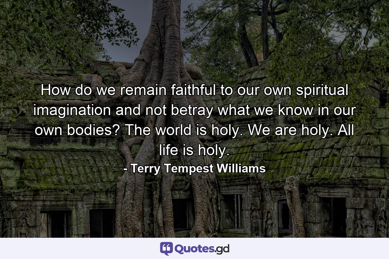 How do we remain faithful to our own spiritual imagination and not betray what we know in our own bodies? The world is holy. We are holy. All life is holy. - Quote by Terry Tempest Williams