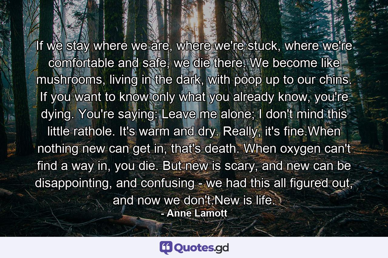 If we stay where we are, where we're stuck, where we're comfortable and safe, we die there. We become like mushrooms, living in the dark, with poop up to our chins. If you want to know only what you already know, you're dying. You're saying: Leave me alone; I don't mind this little rathole. It's warm and dry. Really, it's fine.When nothing new can get in, that's death. When oxygen can't find a way in, you die. But new is scary, and new can be disappointing, and confusing - we had this all figured out, and now we don't.New is life. - Quote by Anne Lamott