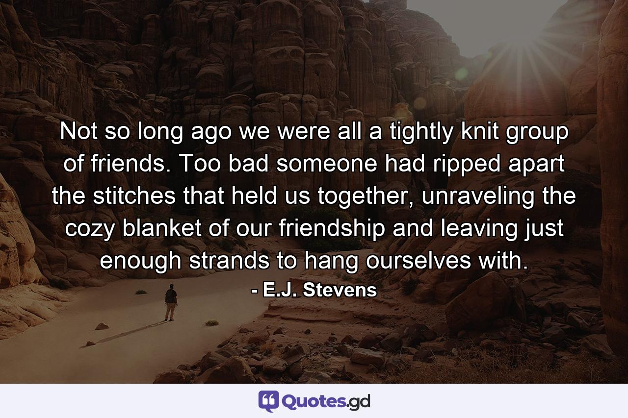 Not so long ago we were all a tightly knit group of friends. Too bad someone had ripped apart the stitches that held us together, unraveling the cozy blanket of our friendship and leaving just enough strands to hang ourselves with. - Quote by E.J. Stevens