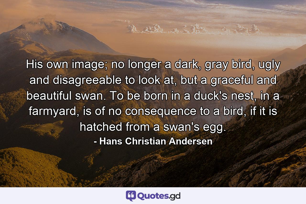 His own image; no longer a dark, gray bird, ugly and disagreeable to look at, but a graceful and beautiful swan. To be born in a duck's nest, in a farmyard, is of no consequence to a bird, if it is hatched from a swan's egg. - Quote by Hans Christian Andersen