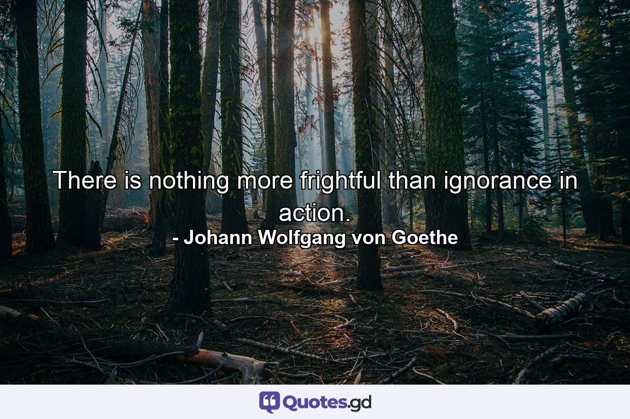 There is nothing more frightful than ignorance in action. - Quote by Johann Wolfgang von Goethe