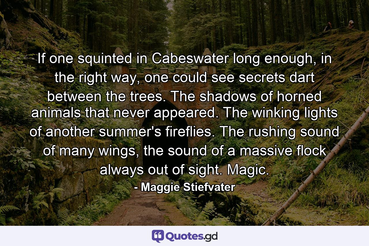 If one squinted in Cabeswater long enough, in the right way, one could see secrets dart between the trees. The shadows of horned animals that never appeared. The winking lights of another summer's fireflies. The rushing sound of many wings, the sound of a massive flock always out of sight. Magic. - Quote by Maggie Stiefvater