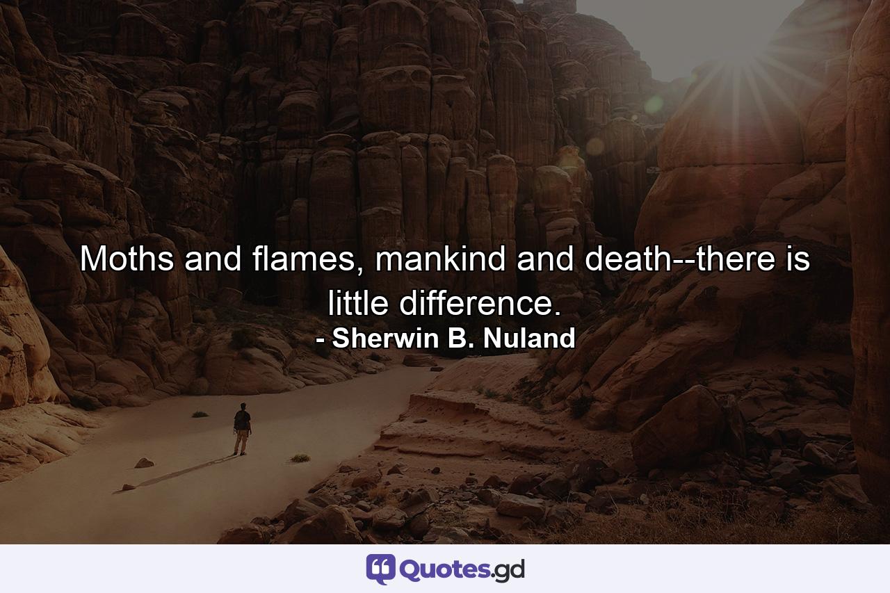 Moths and flames, mankind and death--there is little difference. - Quote by Sherwin B. Nuland