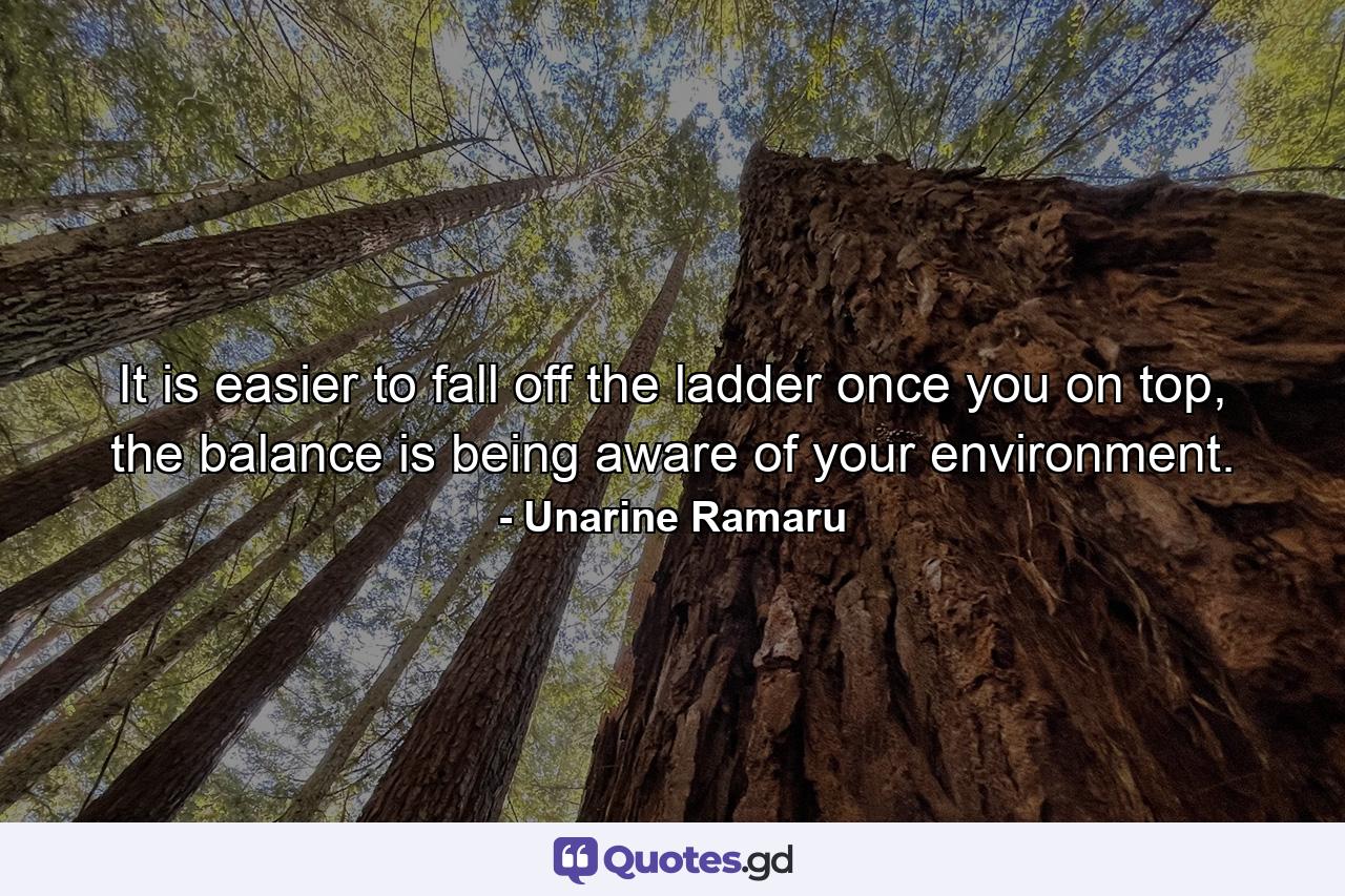 It is easier to fall off the ladder once you on top, the balance is being aware of your environment. - Quote by Unarine Ramaru