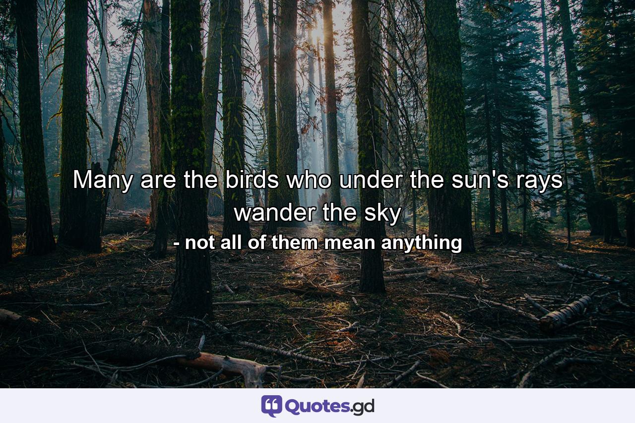 Many are the birds who under the sun's rays wander the sky - Quote by not all of them mean anything