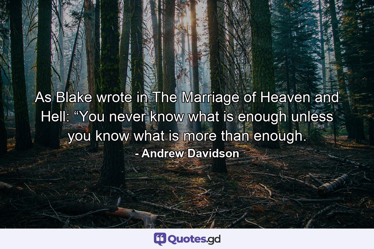 As Blake wrote in The Marriage of Heaven and Hell: “You never know what is enough unless you know what is more than enough. - Quote by Andrew Davidson