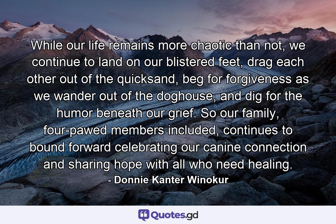 While our life remains more chaotic than not, we continue to land on our blistered feet, drag each other out of the quicksand, beg for forgiveness as we wander out of the doghouse, and dig for the humor beneath our grief. So our family, four-pawed members included, continues to bound forward celebrating our canine connection and sharing hope with all who need healing. - Quote by Donnie Kanter Winokur