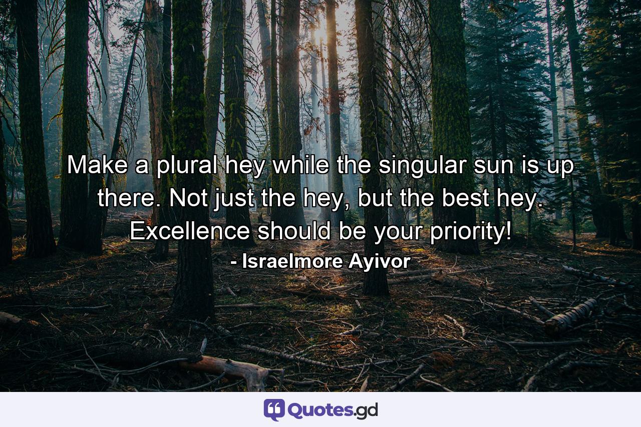 Make a plural hey while the singular sun is up there. Not just the hey, but the best hey. Excellence should be your priority! - Quote by Israelmore Ayivor