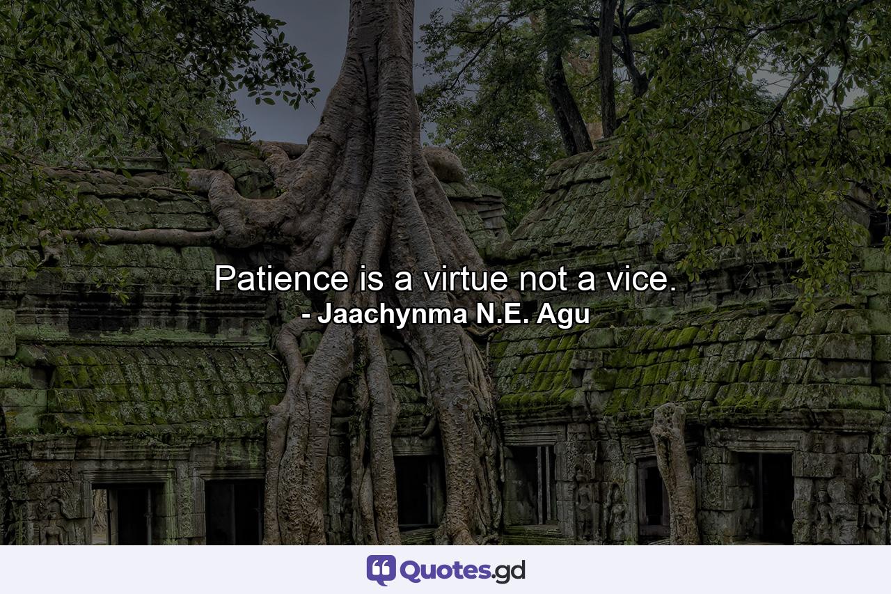 Patience is a virtue not a vice. - Quote by Jaachynma N.E. Agu