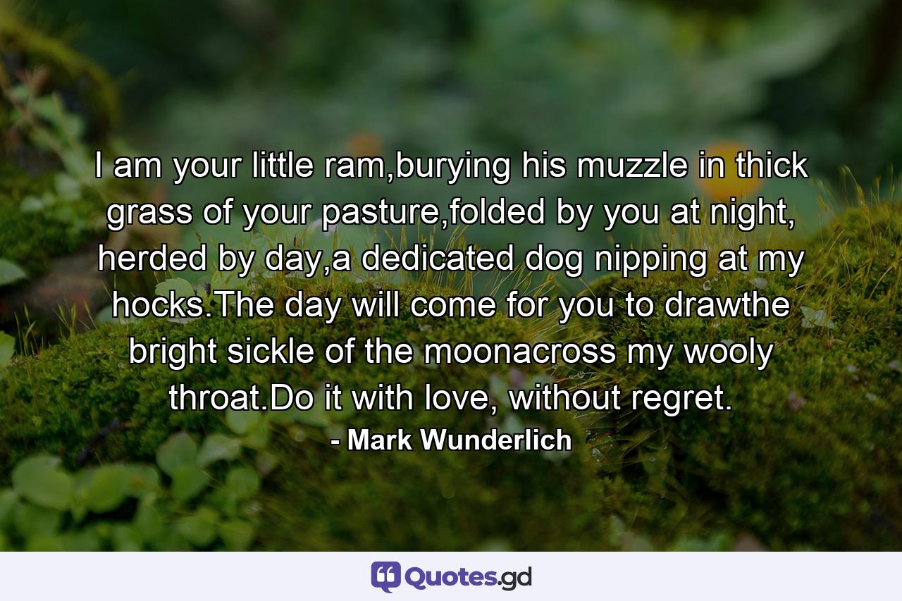 I am your little ram,burying his muzzle in thick grass of your pasture,folded by you at night, herded by day,a dedicated dog nipping at my hocks.The day will come for you to drawthe bright sickle of the moonacross my wooly throat.Do it with love, without regret. - Quote by Mark Wunderlich