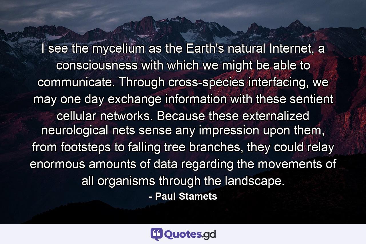 I see the mycelium as the Earth's natural Internet, a consciousness with which we might be able to communicate. Through cross-species interfacing, we may one day exchange information with these sentient cellular networks. Because these externalized neurological nets sense any impression upon them, from footsteps to falling tree branches, they could relay enormous amounts of data regarding the movements of all organisms through the landscape. - Quote by Paul Stamets