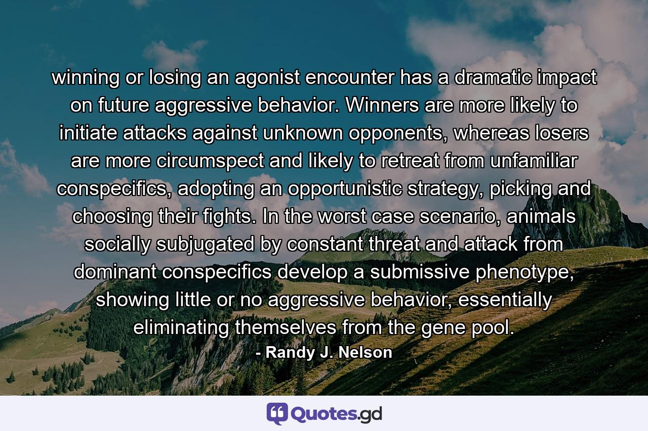 winning or losing an agonist encounter has a dramatic impact on future aggressive behavior. Winners are more likely to initiate attacks against unknown opponents, whereas losers are more circumspect and likely to retreat from unfamiliar conspecifics, adopting an opportunistic strategy, picking and choosing their fights. In the worst case scenario, animals socially subjugated by constant threat and attack from dominant conspecifics develop a submissive phenotype, showing little or no aggressive behavior, essentially eliminating themselves from the gene pool. - Quote by Randy J. Nelson