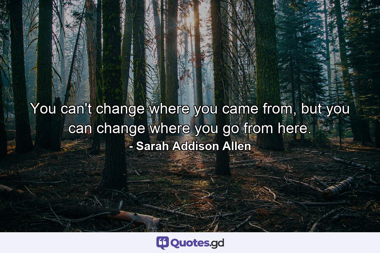 You can't change where you came from, but you can change where you go from here. - Quote by Sarah Addison Allen