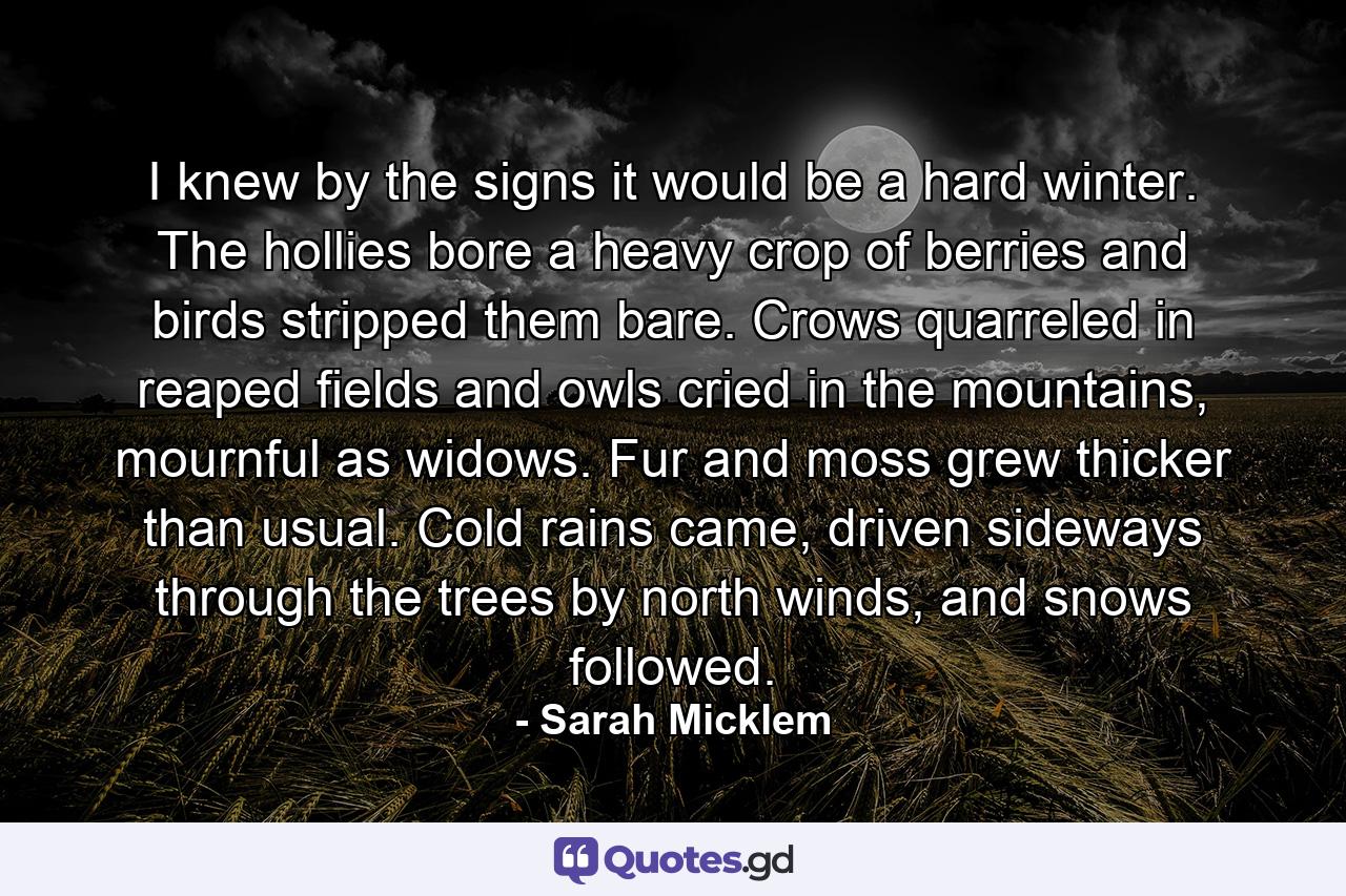 I knew by the signs it would be a hard winter. The hollies bore a heavy crop of berries and birds stripped them bare. Crows quarreled in reaped fields and owls cried in the mountains, mournful as widows. Fur and moss grew thicker than usual. Cold rains came, driven sideways through the trees by north winds, and snows followed. - Quote by Sarah Micklem