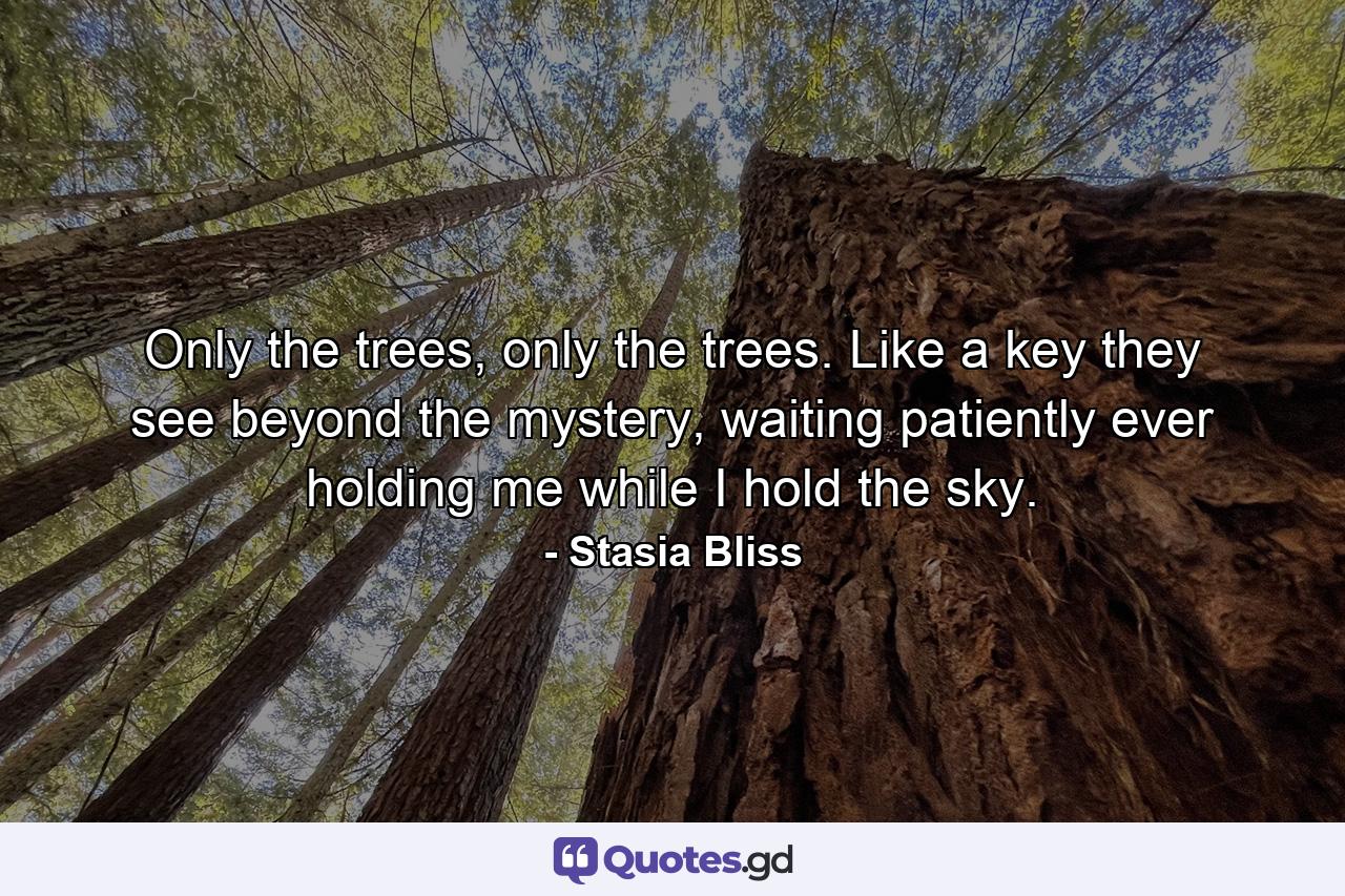 Only the trees, only the trees. Like a key they see beyond the mystery, waiting patiently ever holding me while I hold the sky. - Quote by Stasia Bliss