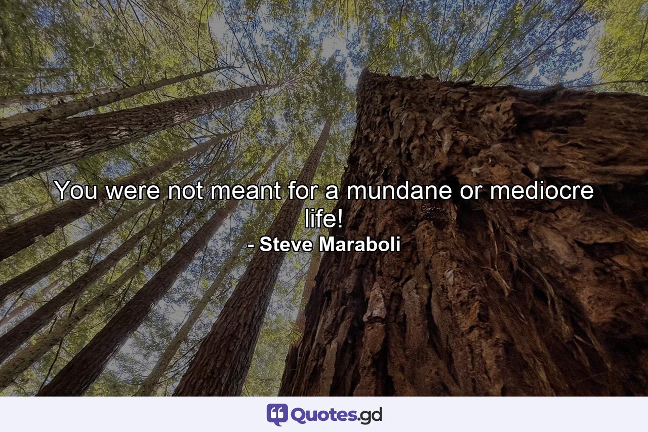 You were not meant for a mundane or mediocre life! - Quote by Steve Maraboli