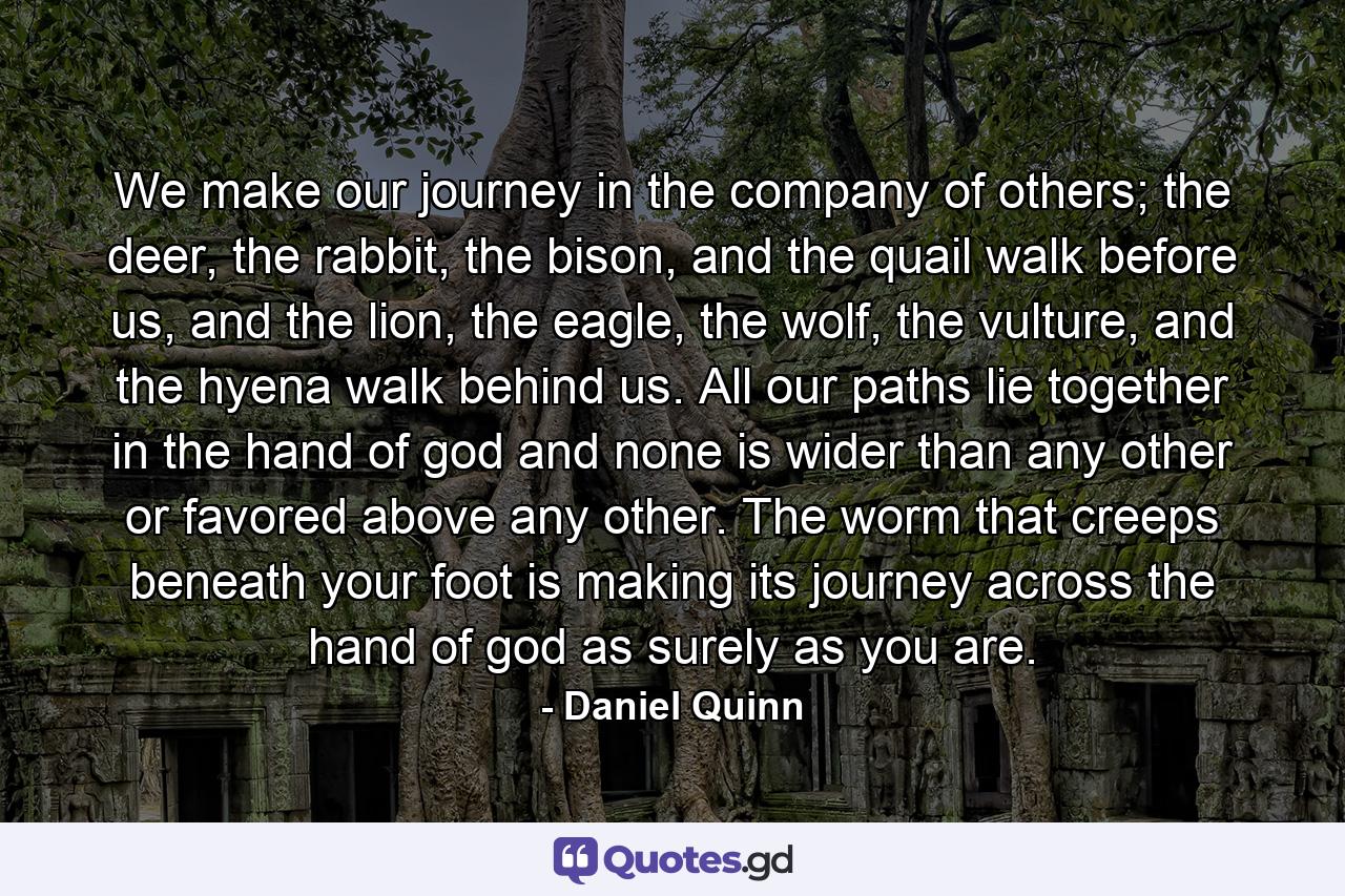 We make our journey in the company of others; the deer, the rabbit, the bison, and the quail walk before us, and the lion, the eagle, the wolf, the vulture, and the hyena walk behind us. All our paths lie together in the hand of god and none is wider than any other or favored above any other. The worm that creeps beneath your foot is making its journey across the hand of god as surely as you are. - Quote by Daniel Quinn