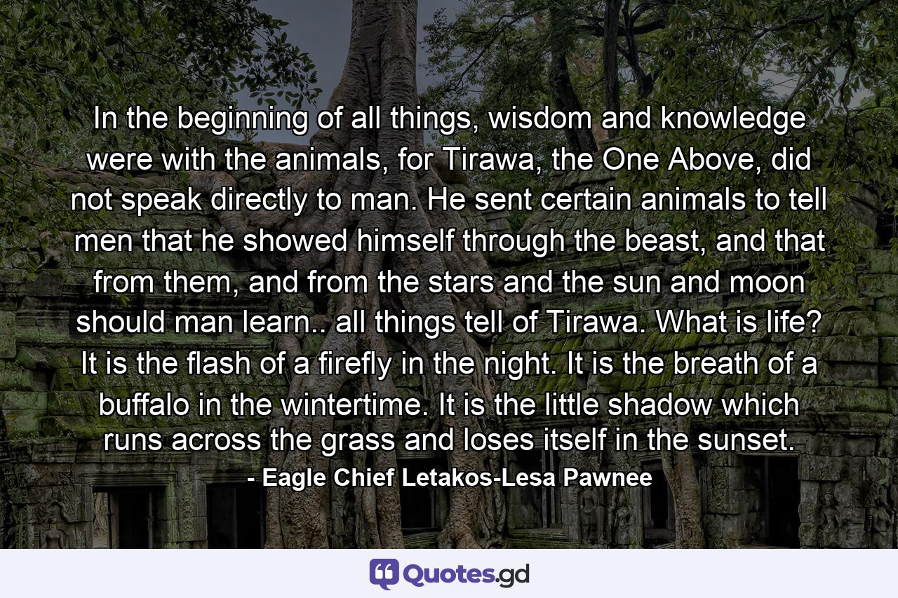 In the beginning of all things, wisdom and knowledge were with the animals, for Tirawa, the One Above, did not speak directly to man. He sent certain animals to tell men that he showed himself through the beast, and that from them, and from the stars and the sun and moon should man learn.. all things tell of Tirawa. What is life? It is the flash of a firefly in the night. It is the breath of a buffalo in the wintertime. It is the little shadow which runs across the grass and loses itself in the sunset. - Quote by Eagle Chief Letakos-Lesa Pawnee