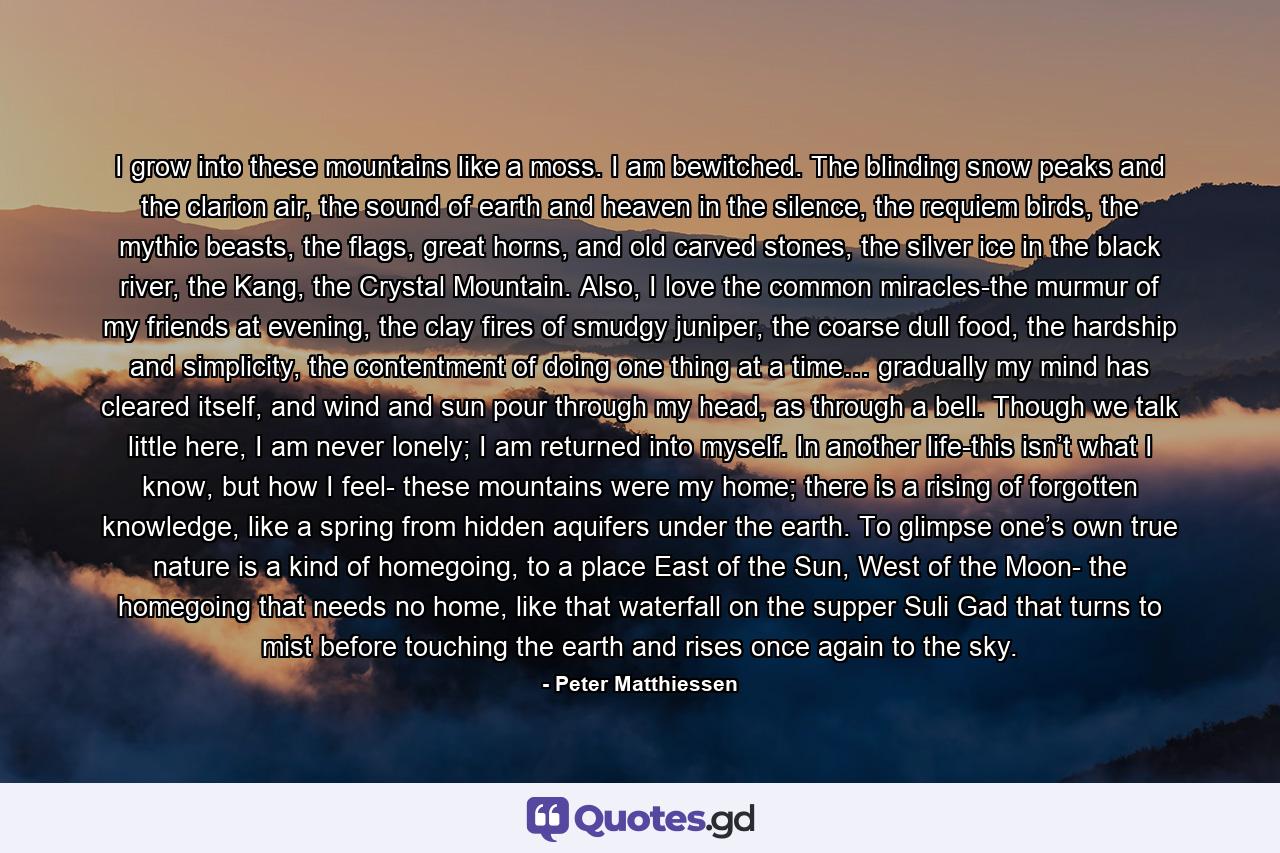 I grow into these mountains like a moss. I am bewitched. The blinding snow peaks and the clarion air, the sound of earth and heaven in the silence, the requiem birds, the mythic beasts, the flags, great horns, and old carved stones, the silver ice in the black river, the Kang, the Crystal Mountain. Also, I love the common miracles-the murmur of my friends at evening, the clay fires of smudgy juniper, the coarse dull food, the hardship and simplicity, the contentment of doing one thing at a time… gradually my mind has cleared itself, and wind and sun pour through my head, as through a bell. Though we talk little here, I am never lonely; I am returned into myself. In another life-this isn’t what I know, but how I feel- these mountains were my home; there is a rising of forgotten knowledge, like a spring from hidden aquifers under the earth. To glimpse one’s own true nature is a kind of homegoing, to a place East of the Sun, West of the Moon- the homegoing that needs no home, like that waterfall on the supper Suli Gad that turns to mist before touching the earth and rises once again to the sky. - Quote by Peter Matthiessen