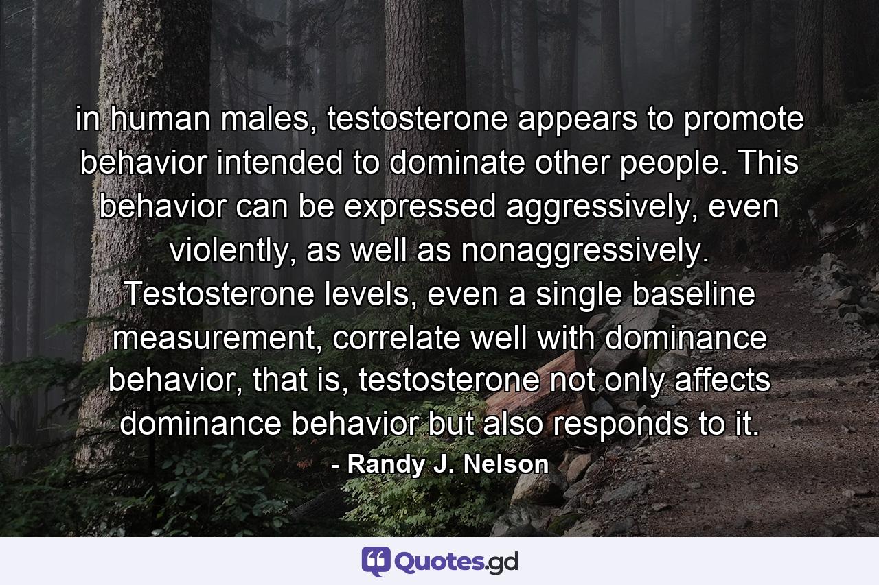 in human males, testosterone appears to promote behavior intended to dominate other people. This behavior can be expressed aggressively, even violently, as well as nonaggressively. Testosterone levels, even a single baseline measurement, correlate well with dominance behavior, that is, testosterone not only affects dominance behavior but also responds to it. - Quote by Randy J. Nelson