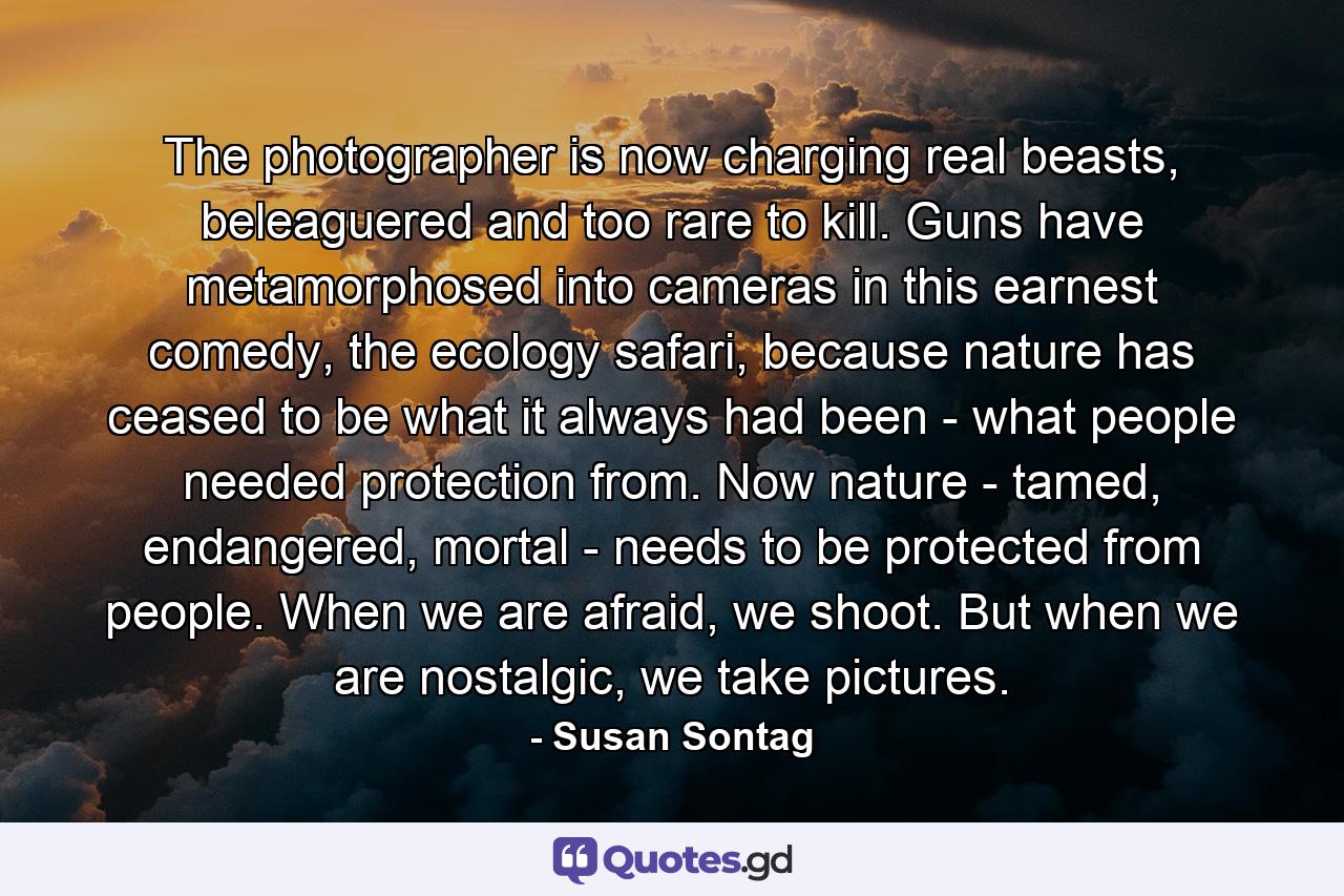 The photographer is now charging real beasts, beleaguered and too rare to kill. Guns have metamorphosed into cameras in this earnest comedy, the ecology safari, because nature has ceased to be what it always had been - what people needed protection from. Now nature - tamed, endangered, mortal - needs to be protected from people. When we are afraid, we shoot. But when we are nostalgic, we take pictures. - Quote by Susan Sontag