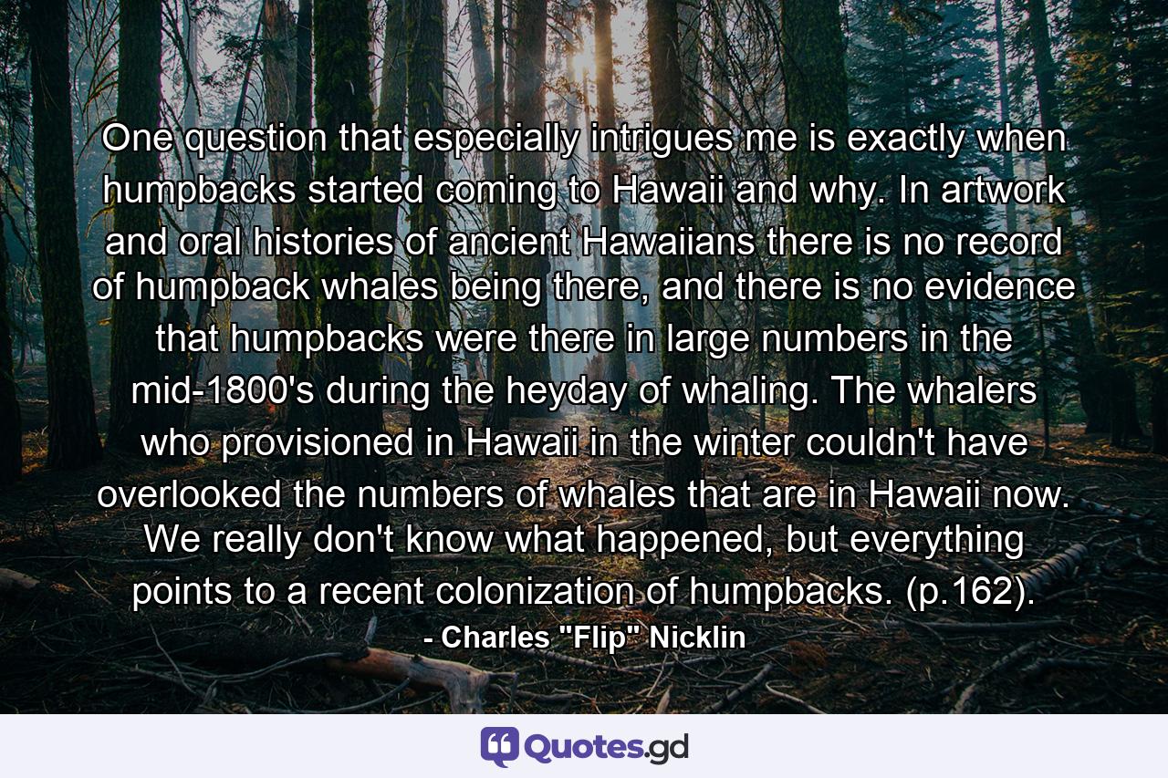One question that especially intrigues me is exactly when humpbacks started coming to Hawaii and why. In artwork and oral histories of ancient Hawaiians there is no record of humpback whales being there, and there is no evidence that humpbacks were there in large numbers in the mid-1800's during the heyday of whaling. The whalers who provisioned in Hawaii in the winter couldn't have overlooked the numbers of whales that are in Hawaii now. We really don't know what happened, but everything points to a recent colonization of humpbacks. (p.162). - Quote by Charles 