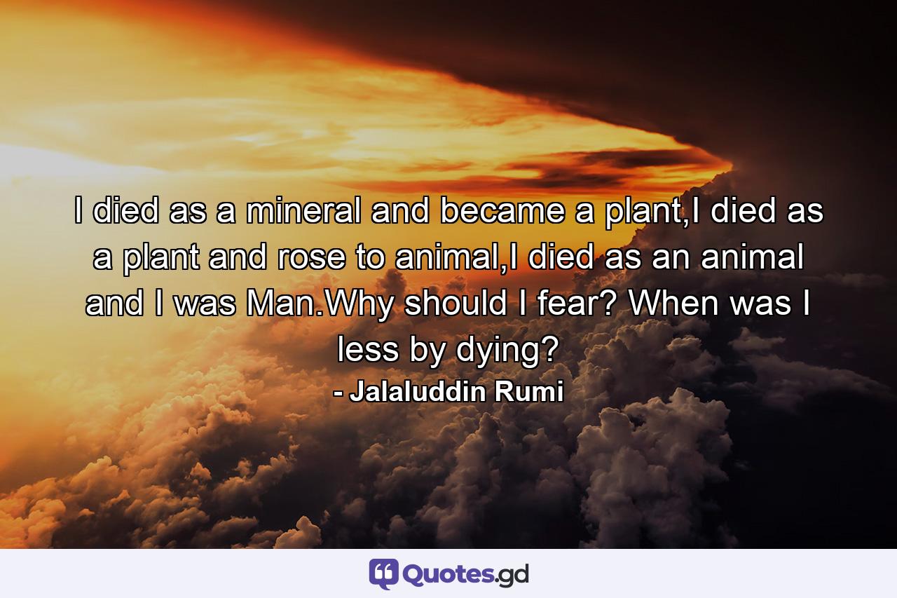 I died as a mineral and became a plant,I died as a plant and rose to animal,I died as an animal and I was Man.Why should I fear? When was I less by dying? - Quote by Jalaluddin Rumi