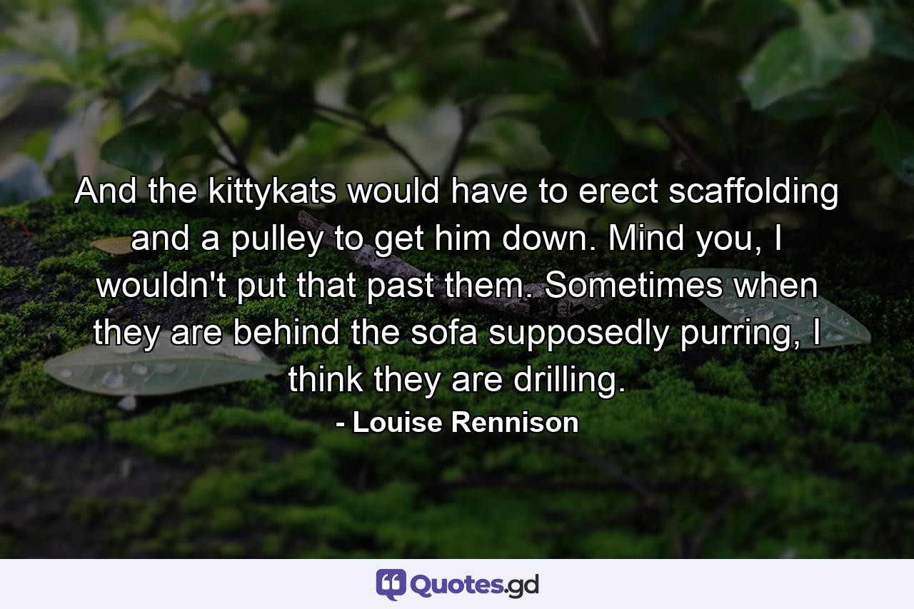And the kittykats would have to erect scaffolding and a pulley to get him down. Mind you, I wouldn't put that past them. Sometimes when they are behind the sofa supposedly purring, I think they are drilling. - Quote by Louise Rennison